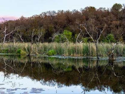 Buffelshuis Safari Camp, River, Nature, Waters