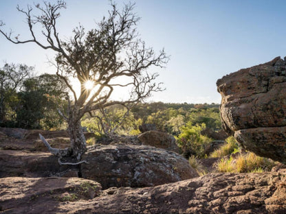 Buffelshuis Safari Camp, Nature