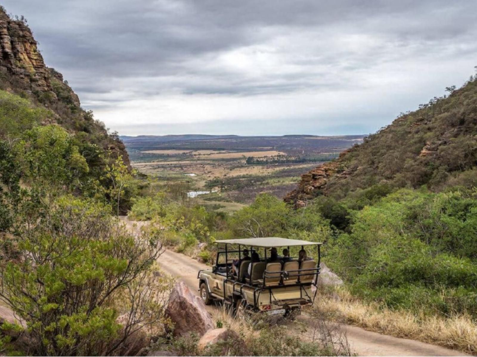 Buffelshuis Safari Camp, Vehicle