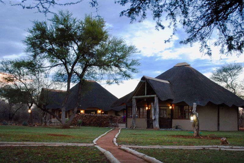 Buffelsvlei Game Lodge Thabazimbi Limpopo Province South Africa 