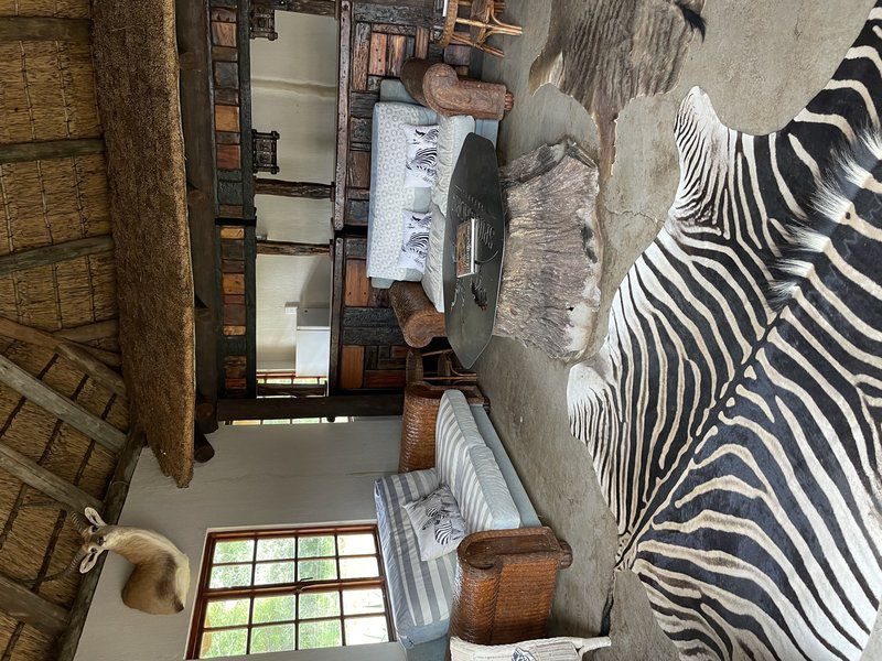 Buffelsvlei Game Lodge Thabazimbi Limpopo Province South Africa Zebra, Mammal, Animal, Herbivore