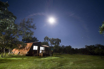 Buffelsvlei Lodge Mookgopong Naboomspruit Limpopo Province South Africa Complementary Colors