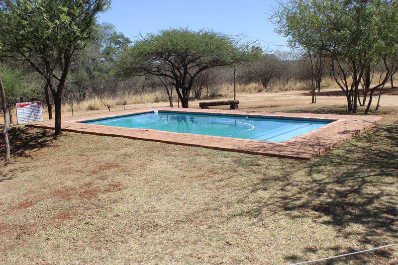 Buffelsvlei Lodge Mookgopong Naboomspruit Limpopo Province South Africa Swimming Pool