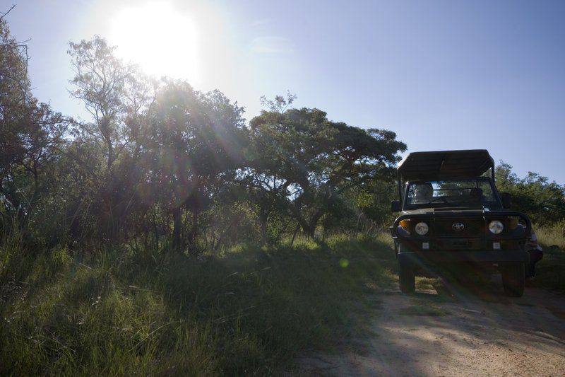 Buffelsvlei Lodge Mookgopong Naboomspruit Limpopo Province South Africa Vehicle