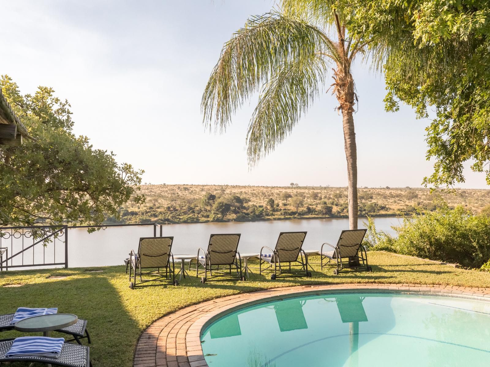 Buhala Lodge Malelane Mpumalanga South Africa Palm Tree, Plant, Nature, Wood, Swimming Pool