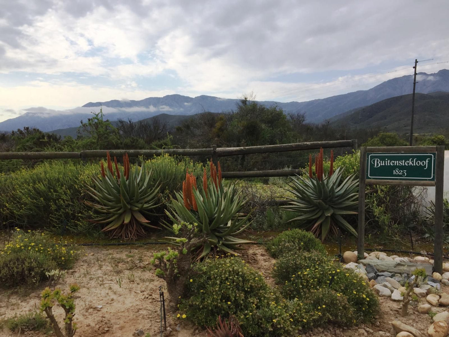 Buitenstekloof Mountain Cottages Robertson Western Cape South Africa Plant, Nature