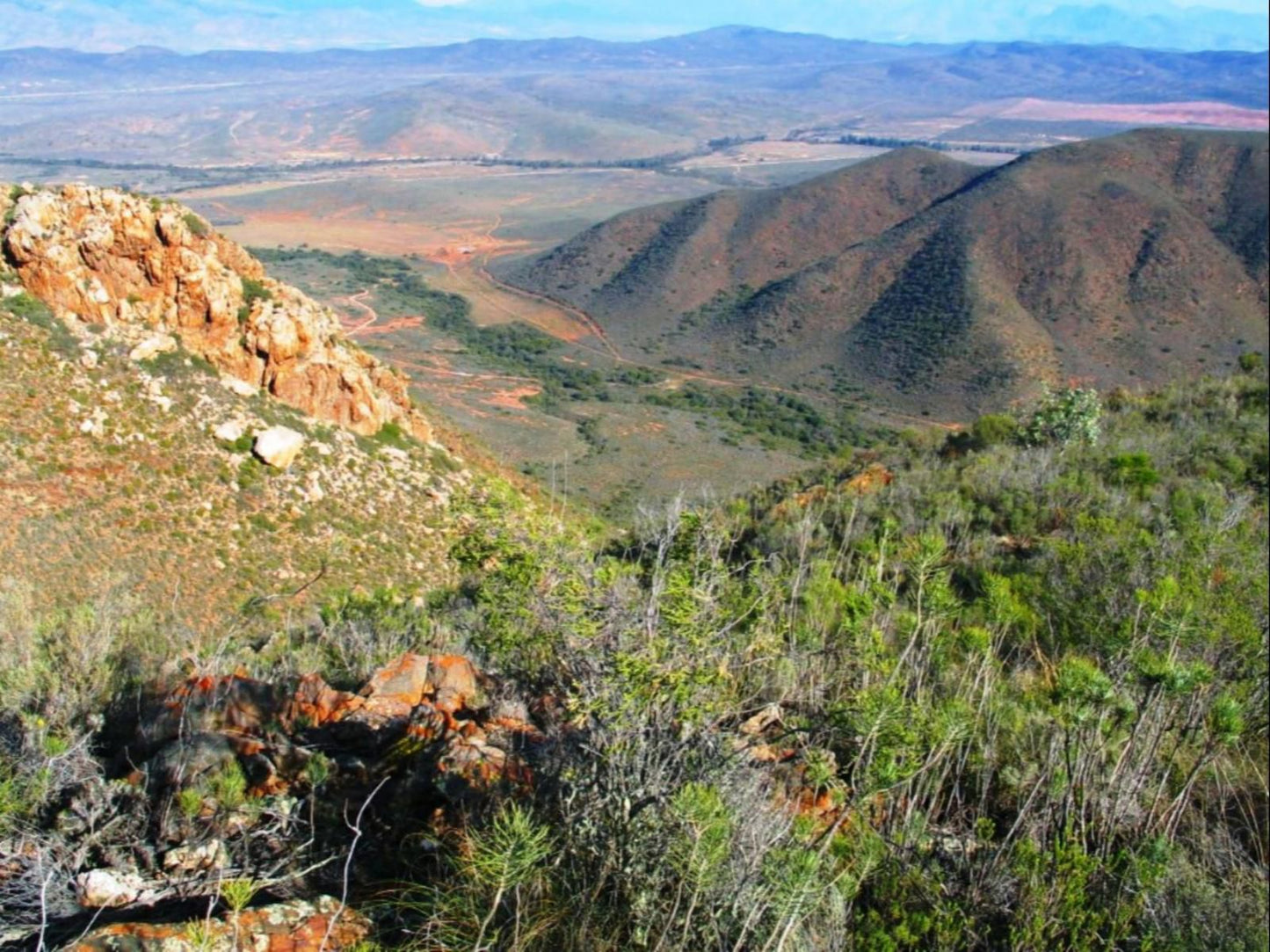 Buitenstekloof Mountain Cottages Robertson Western Cape South Africa Nature