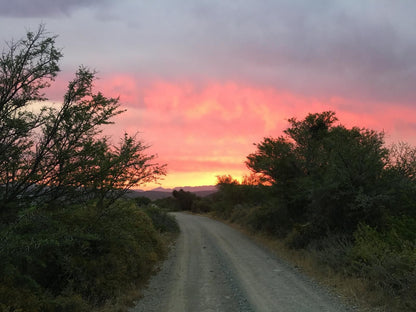 Buitenstekloof Mountain Cottages Robertson Western Cape South Africa Sky, Nature, Street, Sunset