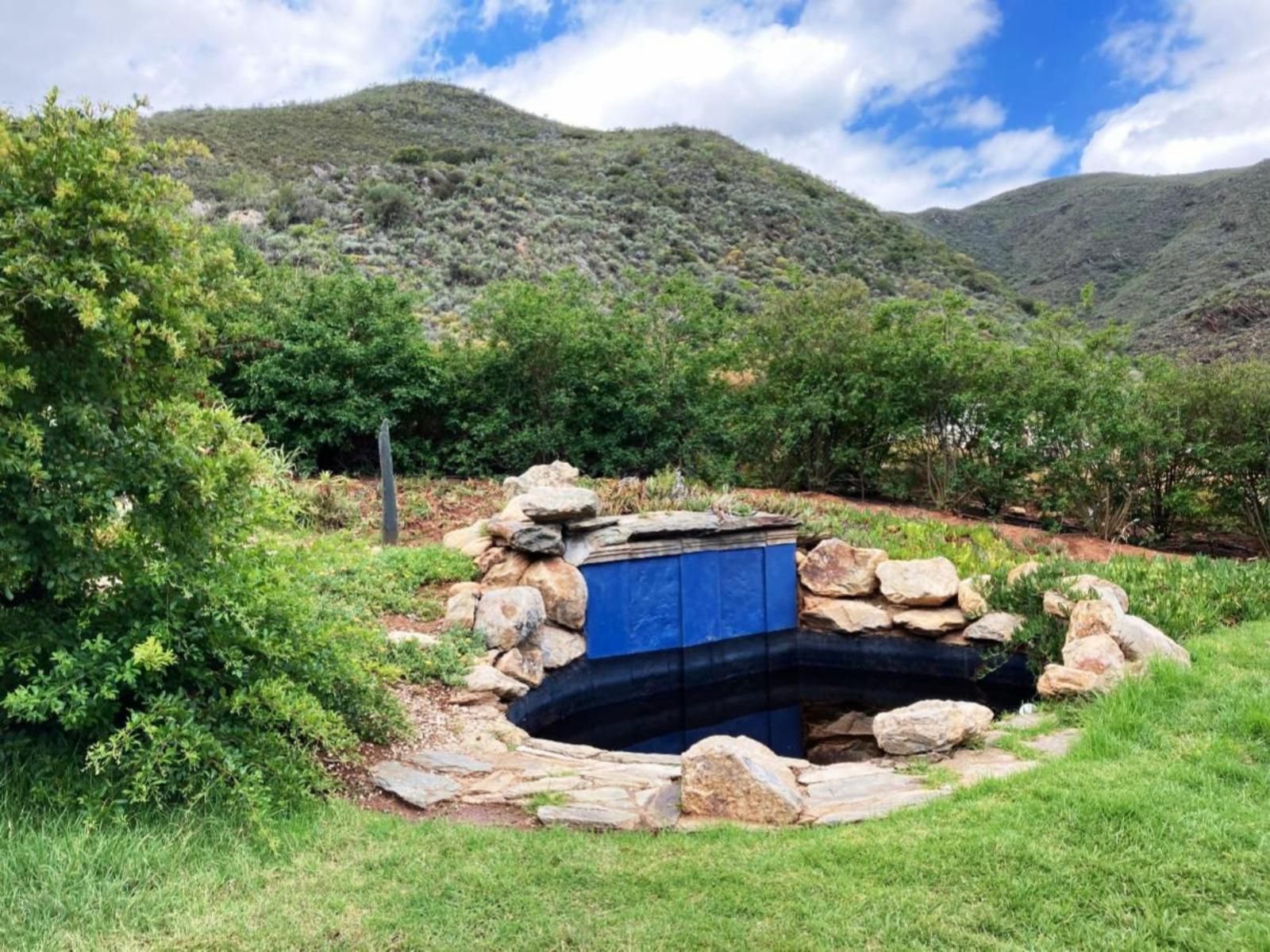 Buitenstekloof Mountain Cottages Robertson Western Cape South Africa Garden, Nature, Plant, Highland