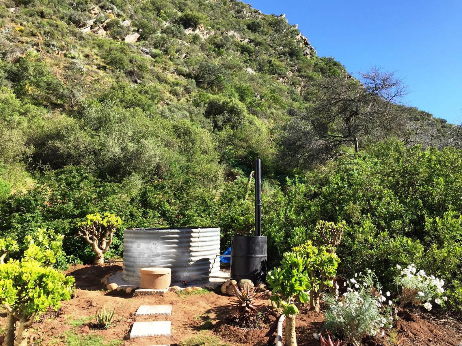 Buitenstekloof Mountain Cottages Robertson Western Cape South Africa Plant, Nature, Garden