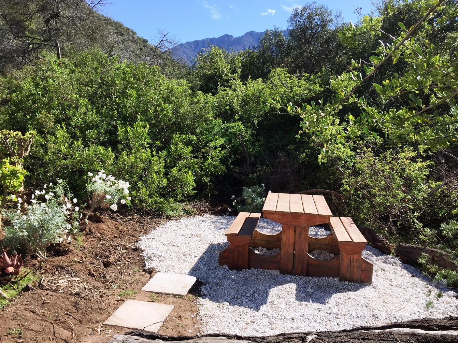 Buitenstekloof Mountain Cottages Robertson Western Cape South Africa Garden, Nature, Plant