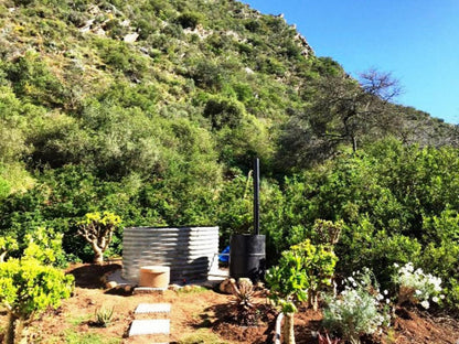 Buitenstekloof Mountain Cottages Robertson Western Cape South Africa Plant, Nature