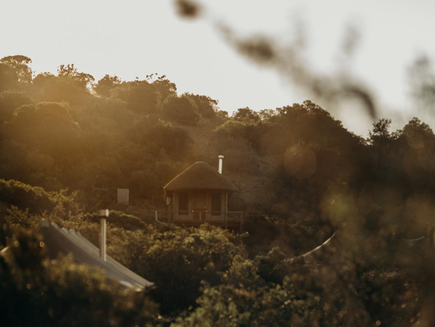 Bukela Game Lodge - Amakhala Game Reserve, Sepia Tones