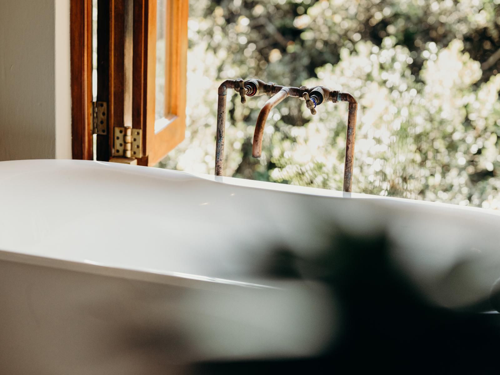 Bukela Game Lodge Amakhala Game Reserve Eastern Cape South Africa Bathroom, Bokeh