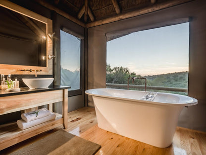 Bukela Game Lodge Amakhala Game Reserve Eastern Cape South Africa 