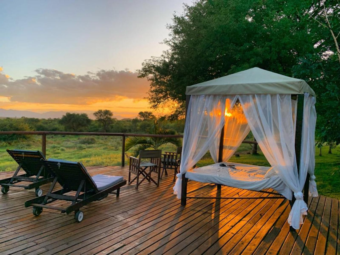 Sanwild Safari Styled Tent Camp Hoedspruit Limpopo Province South Africa 