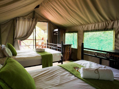 Sanwild Safari Styled Tent Camp Hoedspruit Limpopo Province South Africa Tent, Architecture, Bedroom