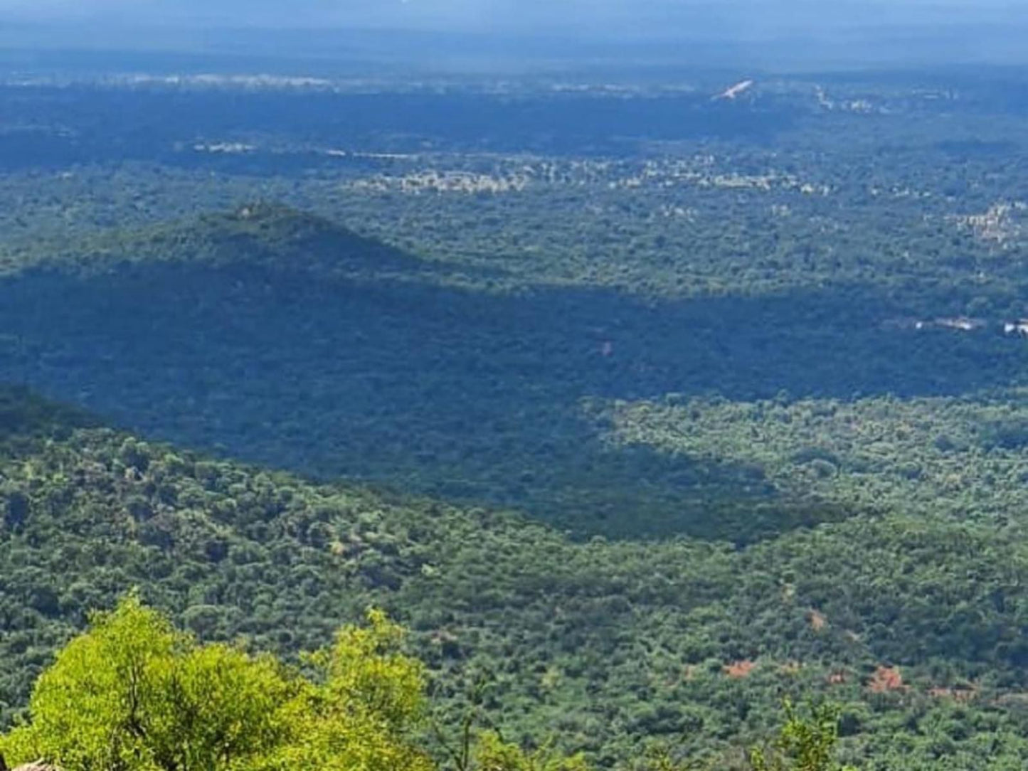 Sanwild Safari Styled Tent Camp Hoedspruit Limpopo Province South Africa Forest, Nature, Plant, Tree, Wood, Aerial Photography