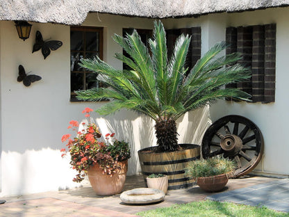 Bullers Rest Lodge Ladysmith Kwazulu Natal Kwazulu Natal South Africa House, Building, Architecture, Palm Tree, Plant, Nature, Wood