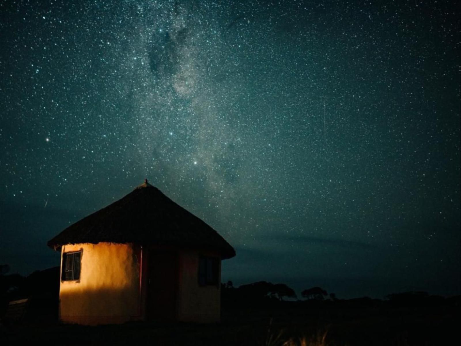 Bulungula Lodge Qora River Mouth Eastern Cape South Africa Night Sky, Nature