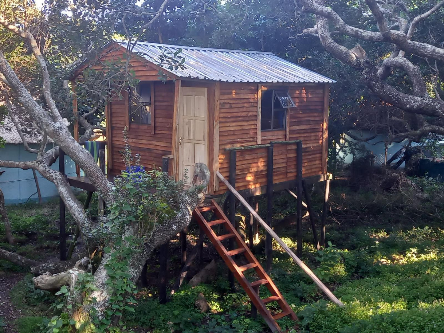 Bulungula Lodge Qora River Mouth Eastern Cape South Africa Cabin, Building, Architecture, Tree, Plant, Nature, Wood