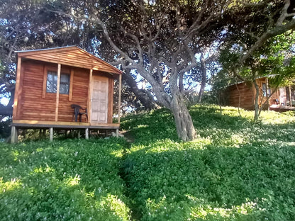 Bulungula Lodge Qora River Mouth Eastern Cape South Africa Building, Architecture, Cabin, Plant, Nature