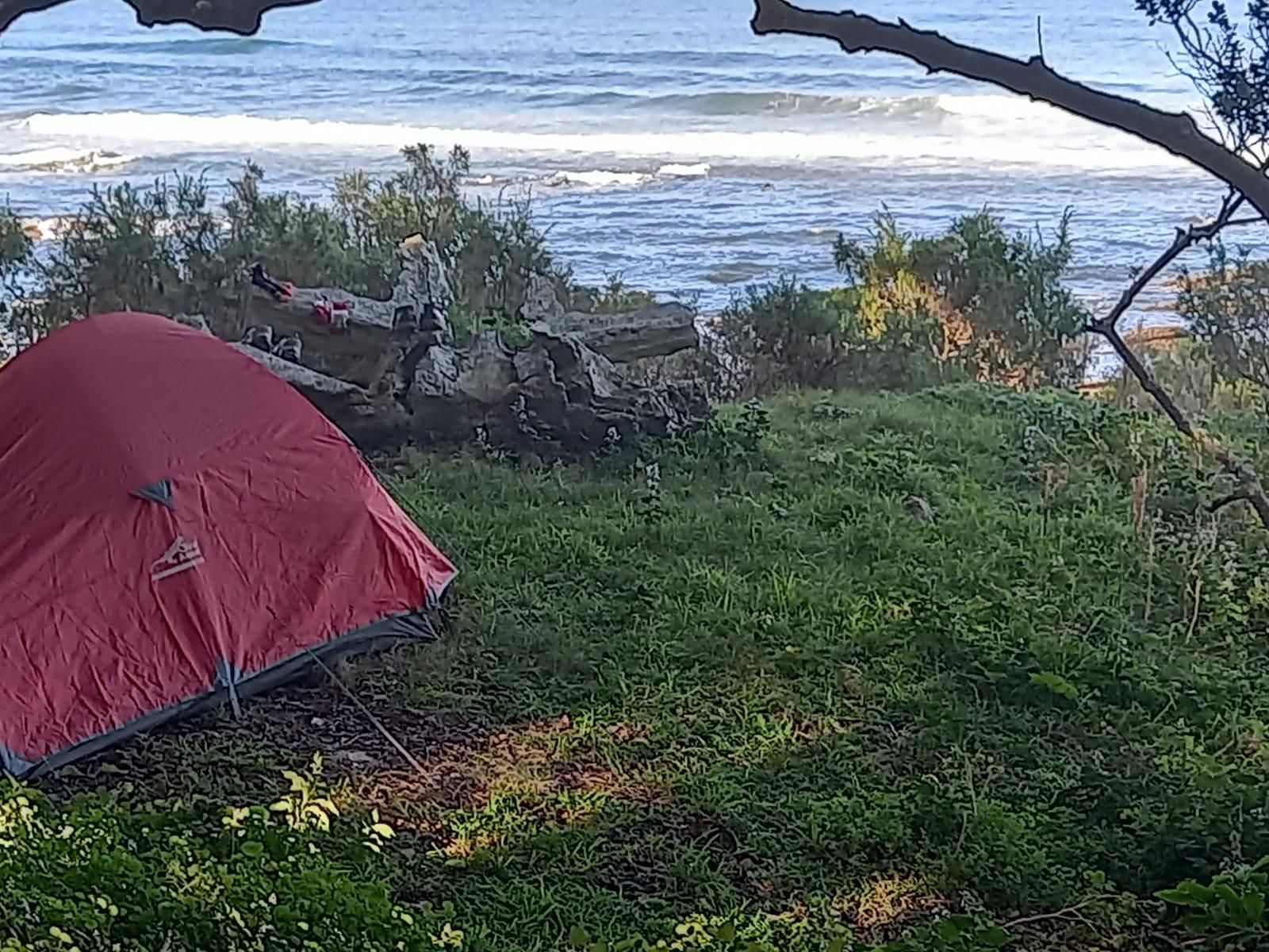 Bulungula Lodge Qora River Mouth Eastern Cape South Africa Beach, Nature, Sand, Palm Tree, Plant, Wood, Tent, Architecture