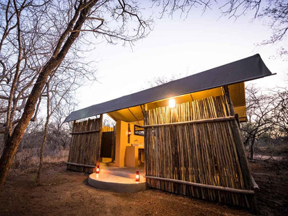 Bundox Safari Lodge Hoedspruit Limpopo Province South Africa 