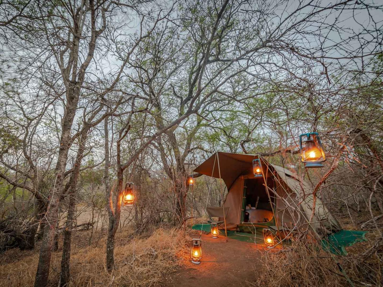 Bundox Safari Lodge Hoedspruit Limpopo Province South Africa 