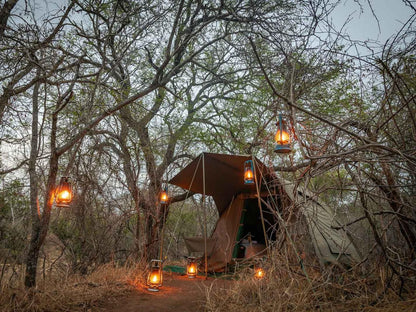 Bundox Safari Lodge Hoedspruit Limpopo Province South Africa 