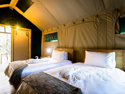 Bundox Safari Lodge Hoedspruit Limpopo Province South Africa Tent, Architecture, Bedroom