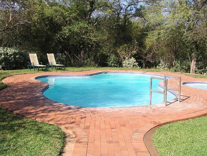 Burchell S Bush Lodge Sabi Sabi Private Game Reserve Mpumalanga South Africa Garden, Nature, Plant, Swimming Pool