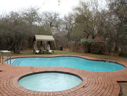 Burchell S Bush Lodge Sabi Sabi Private Game Reserve Mpumalanga South Africa Swimming Pool