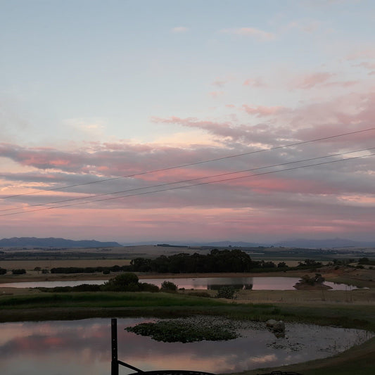 Burgherspost Wine Estate Darling Western Cape South Africa Sky, Nature