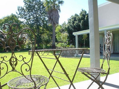 Burrough Place Heatherlands George Western Cape South Africa Palm Tree, Plant, Nature, Wood, Garden