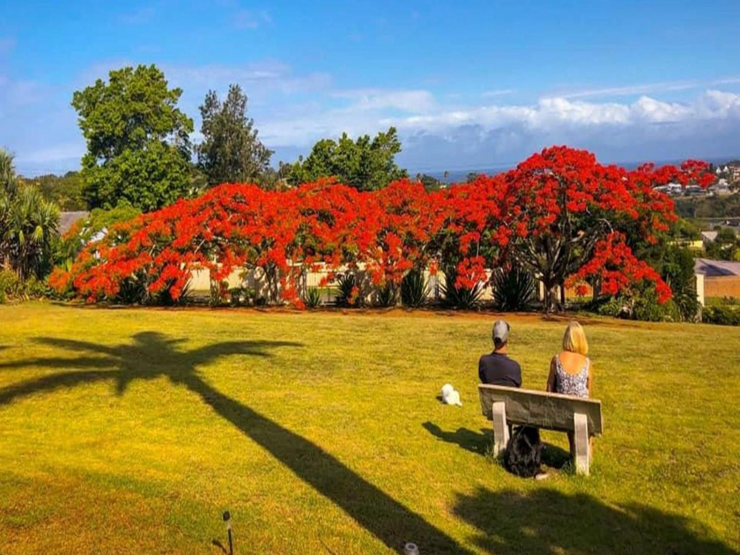 Busa Guest House Nahoon East London Eastern Cape South Africa Complementary Colors, Colorful, Plant, Nature, Autumn