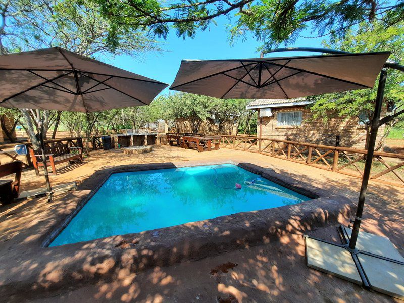 Bush Beach Bosbok Marloth Park Mpumalanga South Africa Complementary Colors, Swimming Pool