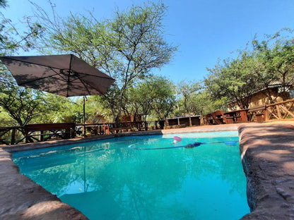 Bush Beach Bosbok Marloth Park Mpumalanga South Africa Swimming Pool