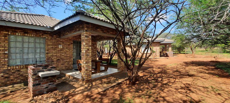 Bush Beach Bosbok Marloth Park Mpumalanga South Africa 