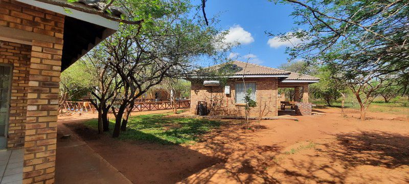 Bush Beach Bosbok Marloth Park Mpumalanga South Africa 