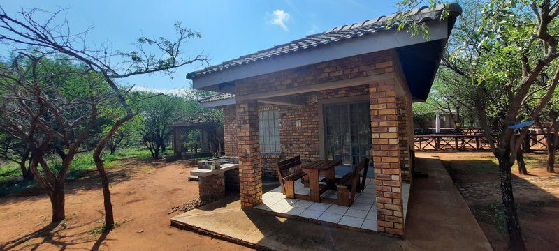 Bush Beach Bosbok Marloth Park Mpumalanga South Africa Complementary Colors, Living Room