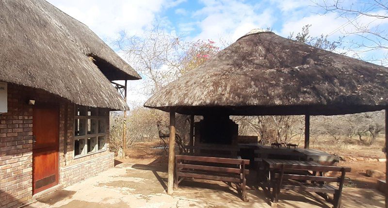 Bush Beach Jackal Marloth Park Mpumalanga South Africa 