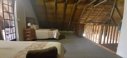 Bush Beach Jackal Marloth Park Mpumalanga South Africa Bedroom