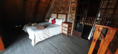 Bush Beach Jackal Marloth Park Mpumalanga South Africa Bedroom