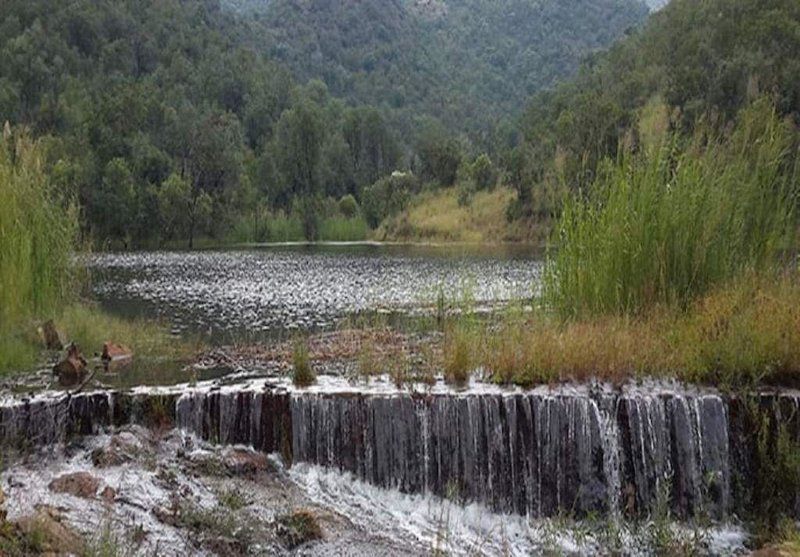 Bush Dream Mabalingwe Mabalingwe Nature Reserve Bela Bela Warmbaths Limpopo Province South Africa Lake, Nature, Waters, River, Tree, Plant, Wood, Waterfall