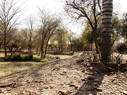 Bush Inn Lodge Lephalale Ellisras Limpopo Province South Africa River, Nature, Waters