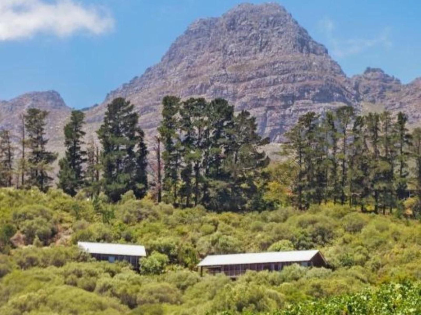 Bush Lodge At Hidden Valley Wines Cape Winelands Western Cape South Africa Complementary Colors