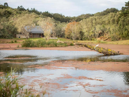 Bush Villas @ Botlierskop, River, Nature, Waters