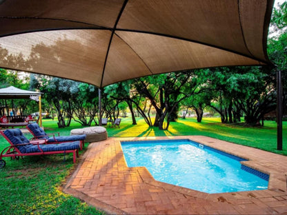 Bushbabies Lodge Hammanskraal Gauteng South Africa Complementary Colors, Swimming Pool