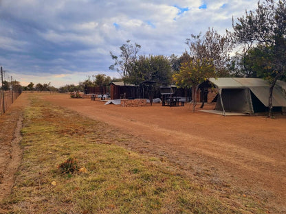 Bushbabies Lodge Hammanskraal Gauteng South Africa Lowland, Nature